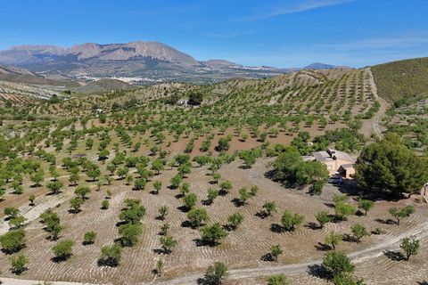 Landejendom i Velez-Rubio, Almeria, Velez-Rubio - € 170.000 | Ref: 3054-CH - foto 4